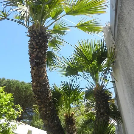 Bastide Du Golfe גאסה